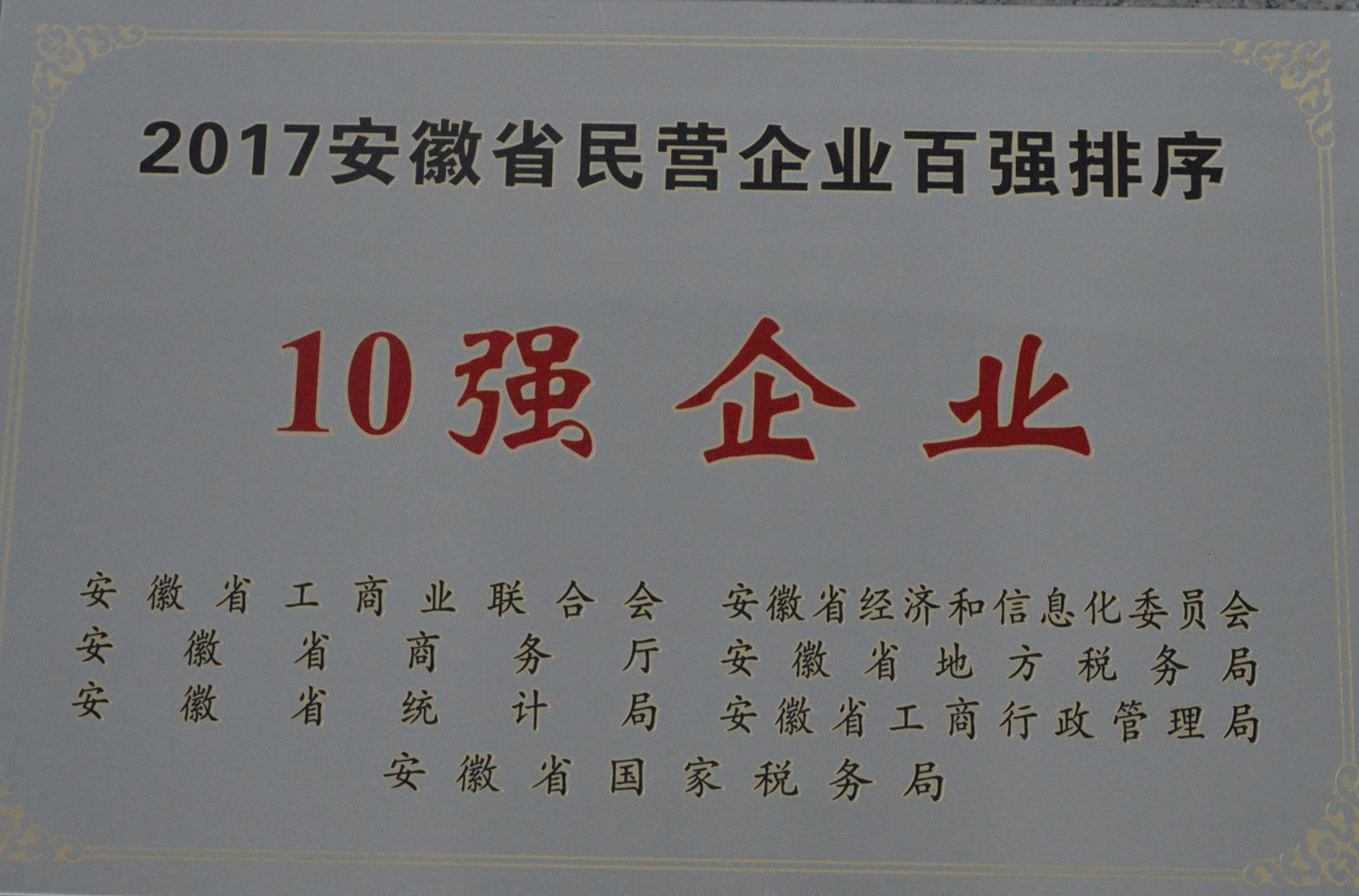 2017年安徽民營(yíng)企業(yè)百?gòu)?qiáng) 10強(qiáng).jpg